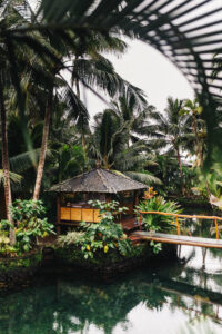 Bitcoin Climbs as Elon Musk Says Tesla ‘Likely’ to Accept it Again